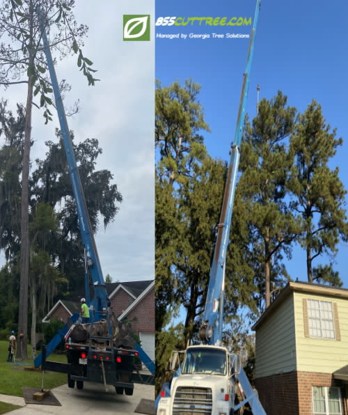 Crane Tree Removal Services - Georgia Tree Solutions - 855CutTree.com