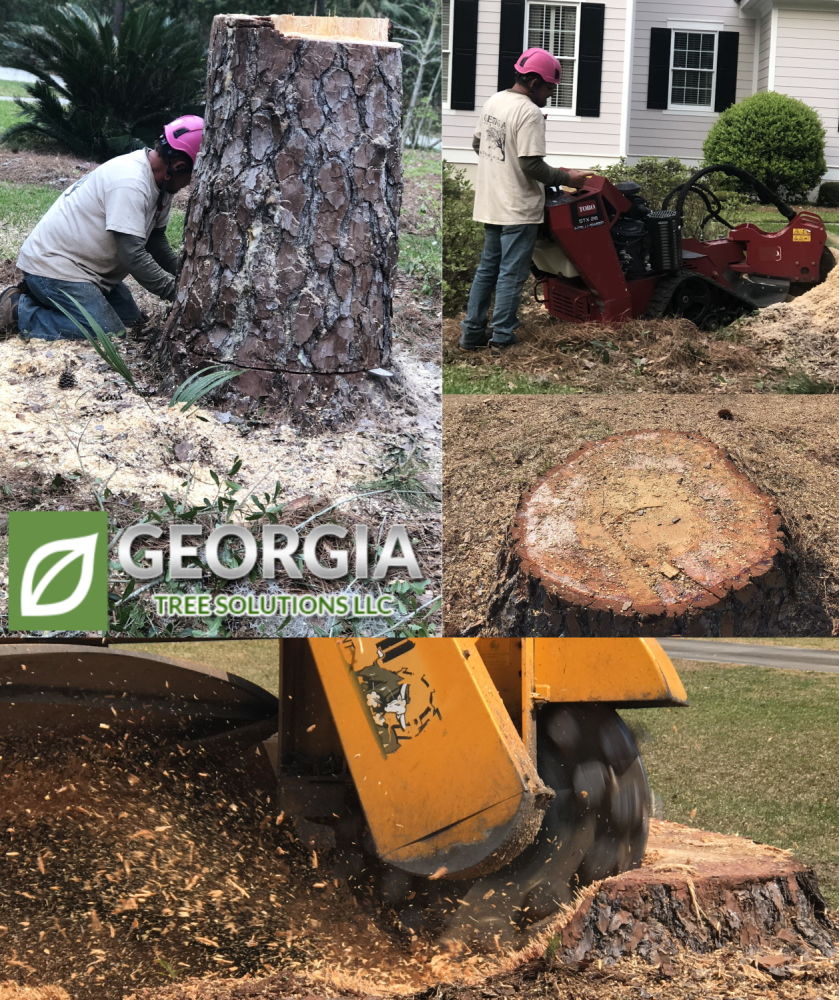 Stump Grinding - 855CutTree.com - Georgia Tree Solutions