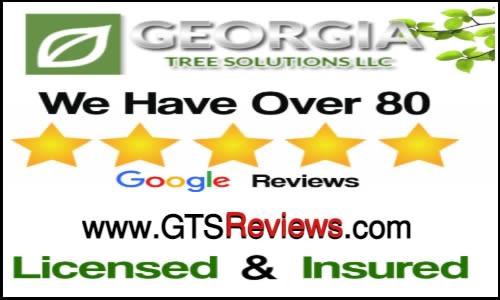 GTSreviews.com - We love 5 Star Reviews